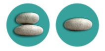 Halb- und Ganztagsworkshop